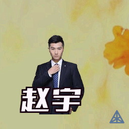 赵宇